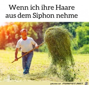 fun-Bild: Ihre Haare aus dem Siphon