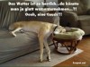 weiter