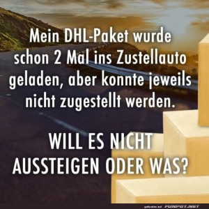 fun-Bild: Das Paket mit H&ouml;henangst