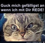 Guck-mich-an.jpg auf www.funpot.net