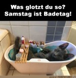 Samstag-ist-Badetag.jpg auf www.funpot.net
