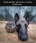 Strenge-Wegekontrolle.jpg auf www.funpot.net