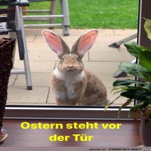 fun-Bild: Bald ist Ostern