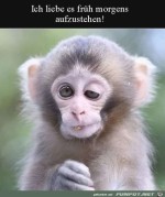 Ich-stehe-gerne-frh-auf.jpg auf www.funpot.net