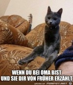 wenn-Oma-von-frher-erzhlt.jpg auf www.funpot.net