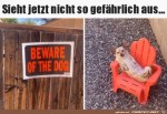 Was-fr-ein-gefhrlicher-Hund.jpg auf www.funpot.net