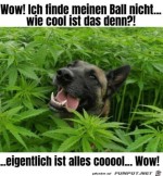 Hier-bleib-ich.jpg auf www.funpot.net