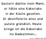 Kakerlake-in-der-Kche.jpg auf www.funpot.net