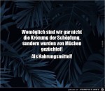 Krone-der-Schpfung.jpg auf www.funpot.net