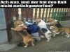 weiter