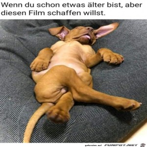 fun-Bild: Tiefenentspannt
