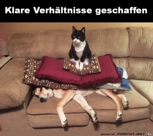 Klare-Verhältnisse.jpg auf www.funpot.net