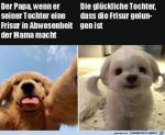 Lustige-Frisur.jpg auf www.funpot.net