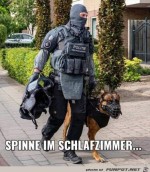 Spinne-im-Schlafzimmer.jpg auf www.funpot.net