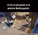 Geheimes-Meeting.jpg auf www.funpot.net