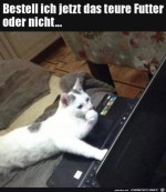 Mal-gut-berlegen.jpg auf www.funpot.net