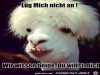 weiter