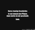 Es-war-mal-eine-Pflanze.jpg auf www.funpot.net