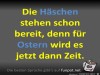 weiter