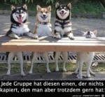 Dieser-eine-Kumpel.jpg auf www.funpot.net