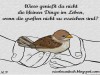 weiter