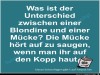 weiter
