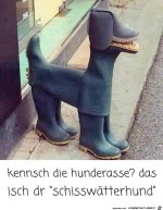 Komische-Hunderasse.jpg auf www.funpot.net