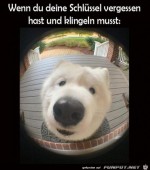Schlssel-vergessen.jpg auf www.funpot.net