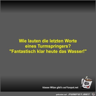 Wie-lauten-die-letzten-Worte-eines-Turmspringers?.jpg von Fossy