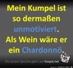 Unmotiviert.jpg auf www.funpot.net