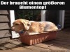 weiter