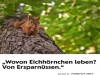weiter
