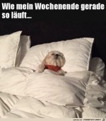Gemtlicher-Sonntag.jpg auf www.funpot.net