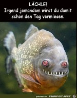 Lchle.jpg auf www.funpot.net
