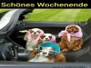 weiter