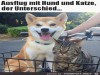 weiter