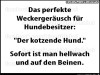 weiter