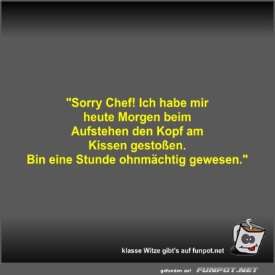 Sorry-Chef!-Ich-habe-mir-heute-Morgen-beim-Aufstehen-den....jpg von Fossy