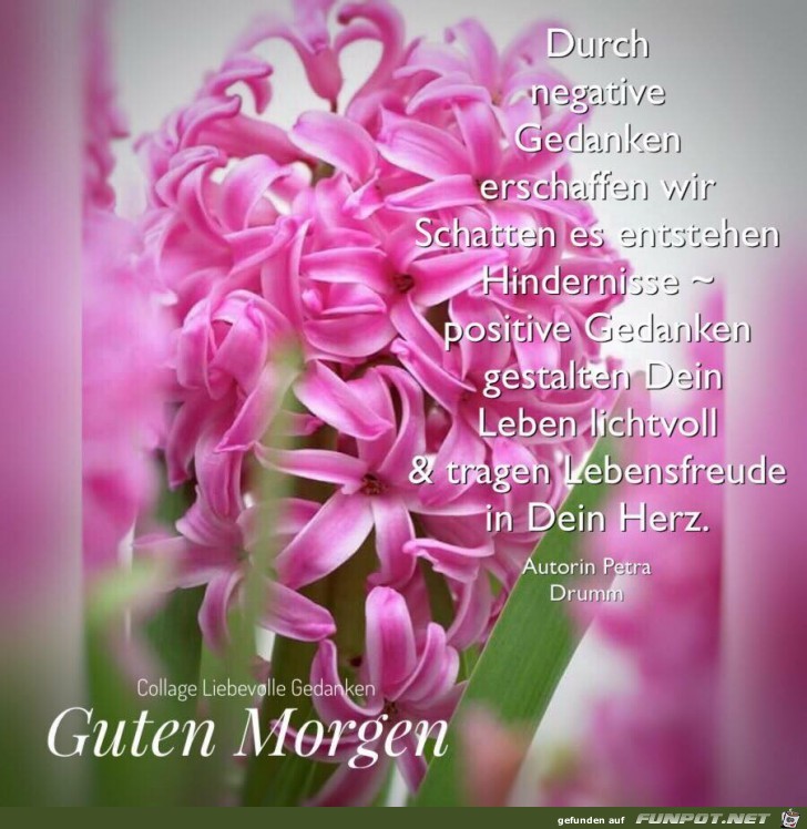 Guten Morgen Guten Morgen