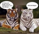 Chlor-getrunken.jpg auf www.funpot.net
