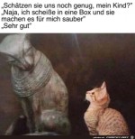 Luft-noch-bei-den-Katzen.jpg auf www.funpot.net