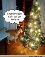 Licht.jpg auf www.funpot.net