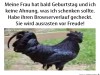 weiter