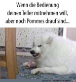 Pfoten-weg-von-meinem-Teller.jpg auf www.funpot.net