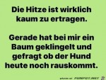 Der-Baum-hat-geklingelt.jpg auf www.funpot.net