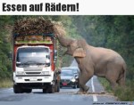Essen-auf-Rdern.jpg auf www.funpot.net