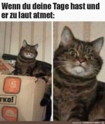 er-atmet-zu-laut.jpg auf www.funpot.net