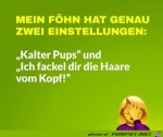 Mein-Fhn.jpg auf www.funpot.net