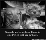 diese-Blicke.jpg auf www.funpot.net