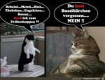Die-Chefin-sagt-nein.jpg auf www.funpot.net